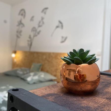 La Maison D'Angelique - Colocation Hoteliere A 150M Gare Tgv- Grande Cuisine Equipee & Salon - Fibre - Netflix Niort Ngoại thất bức ảnh
