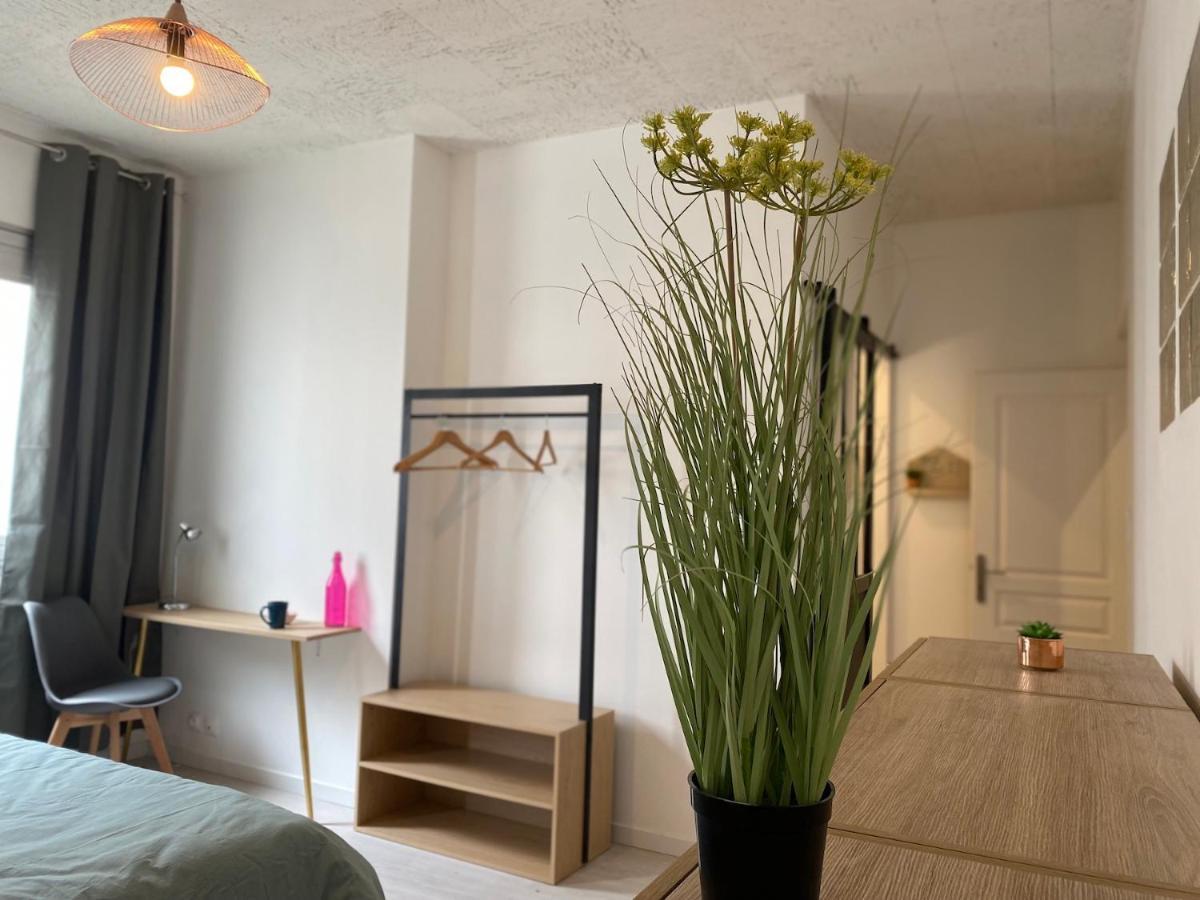 La Maison D'Angelique - Colocation Hoteliere A 150M Gare Tgv- Grande Cuisine Equipee & Salon - Fibre - Netflix Niort Ngoại thất bức ảnh