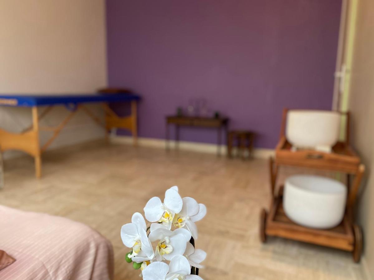 La Maison D'Angelique - Colocation Hoteliere A 150M Gare Tgv- Grande Cuisine Equipee & Salon - Fibre - Netflix Niort Ngoại thất bức ảnh