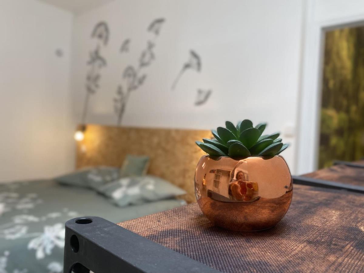 La Maison D'Angelique - Colocation Hoteliere A 150M Gare Tgv- Grande Cuisine Equipee & Salon - Fibre - Netflix Niort Ngoại thất bức ảnh